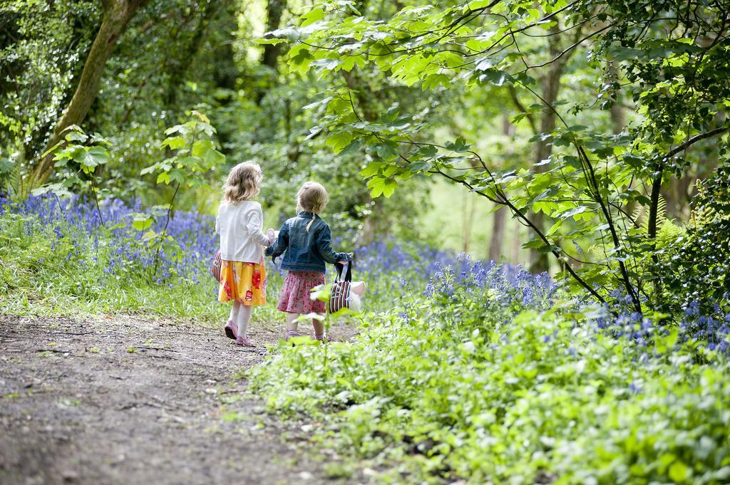 St. Ives Holiday Village ภายนอก รูปภาพ